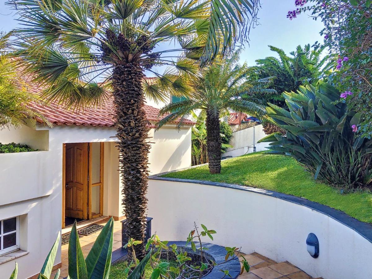 Villa Garajau By Lovelystay كانيكو المظهر الخارجي الصورة